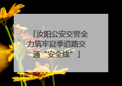 汝阳公安交警全力筑牢夏季道路交通“安全线”