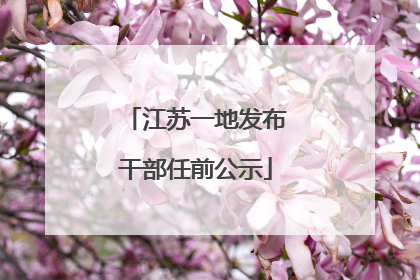 江苏一地发布干部任前公示