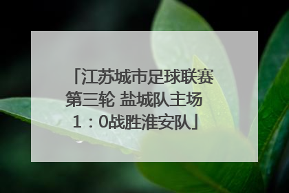 江苏城市足球联赛第三轮 盐城队主场1：0战胜淮安队