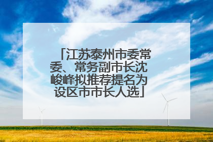 江苏泰州市委常委、常务副市长沈峻峰拟推荐提名为设区市市长人选