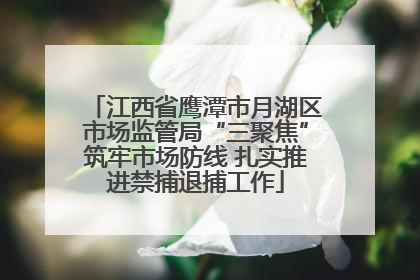 江西省鹰潭市月湖区市场监管局“三聚焦”筑牢市场防线 扎实推进禁捕退捕工作