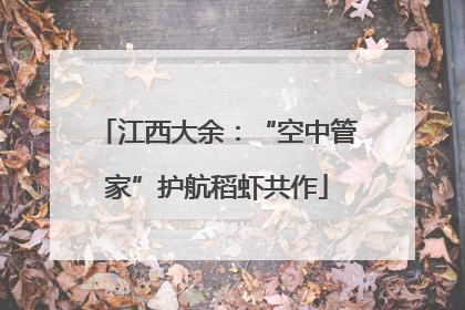 江西大余：“空中管家”护航稻虾共作