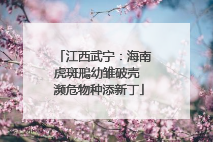 江西武宁：海南虎斑鳽幼雏破壳 濒危物种添新丁