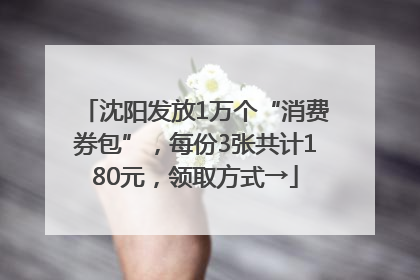 沈阳发放1万个“消费券包”，每份3张共计180元，领取方式→