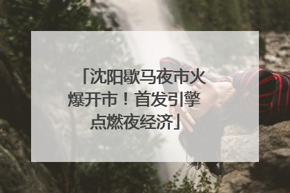 沈阳歇马夜市火爆开市！首发引擎点燃夜经济