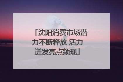 沈阳消费市场潜力不断释放 活力迸发亮点频现