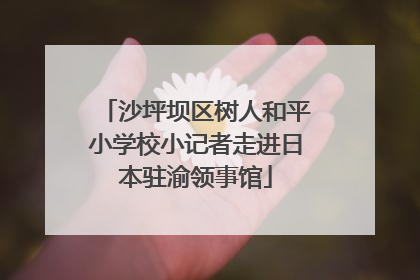 沙坪坝区树人和平小学校小记者走进日本驻渝领事馆