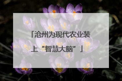沧州为现代农业装上“智慧大脑”