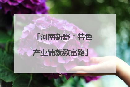河南新野：特色产业铺就致富路