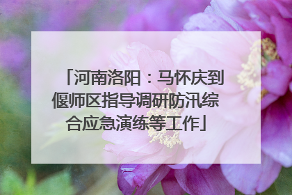 河南洛阳：马怀庆到偃师区指导调研防汛综合应急演练等工作