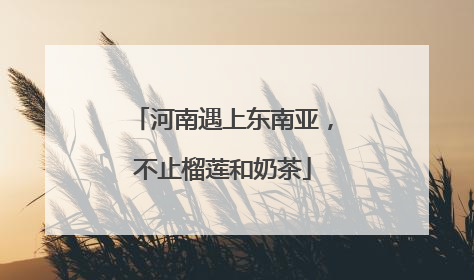 河南遇上东南亚，不止榴莲和奶茶
