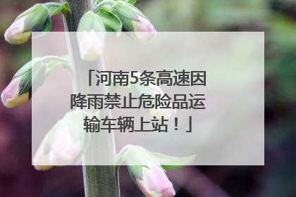 河南5条高速因降雨禁止危险品运输车辆上站！