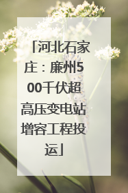 河北石家庄：廉州500千伏超高压变电站增容工程投运