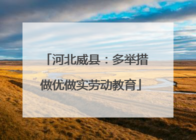 河北威县：多举措做优做实劳动教育