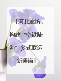 河北廊坊：构建“空铁陆海”多式联运新通道