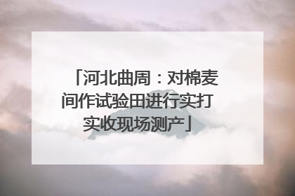 河北曲周：对棉麦间作试验田进行实打实收现场测产