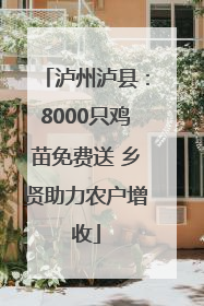 泸州泸县：8000只鸡苗免费送 乡贤助力农户增收