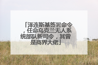 泽连斯基签署命令，任命乌克兰无人系统部队新司令，其曾是商界大佬