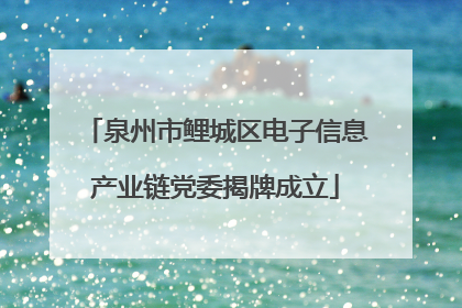 泉州市鲤城区电子信息产业链党委揭牌成立