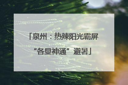 泉州：热辣阳光霸屏 “各显神通”避暑