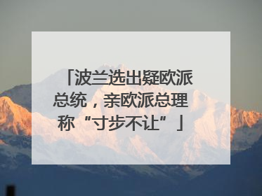 波兰选出疑欧派总统，亲欧派总理称“寸步不让”