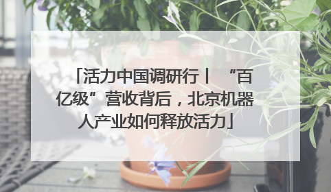 活力中国调研行丨 “百亿级”营收背后，北京机器人产业如何释放活力