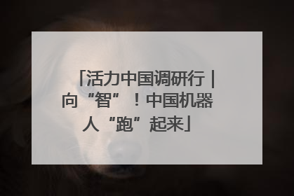 活力中国调研行｜向“智”！中国机器人“跑”起来