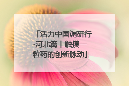 活力中国调研行·河北篇丨触摸一粒药的创新脉动