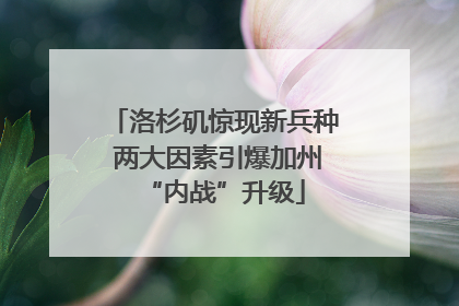 洛杉矶惊现新兵种 两大因素引爆加州“内战”升级