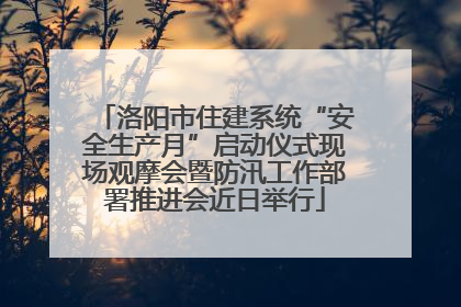 洛阳市住建系统“安全生产月”启动仪式现场观摩会暨防汛工作部署推进会近日举行
