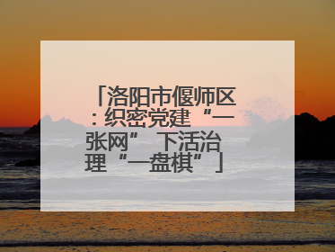 洛阳市偃师区：织密党建“一张网” 下活治理“一盘棋”