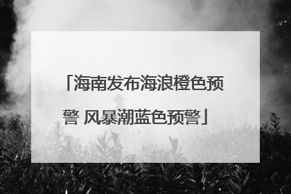 海南发布海浪橙色预警 风暴潮蓝色预警