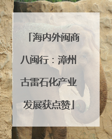 海内外闽商八闽行：漳州古雷石化产业发展获点赞