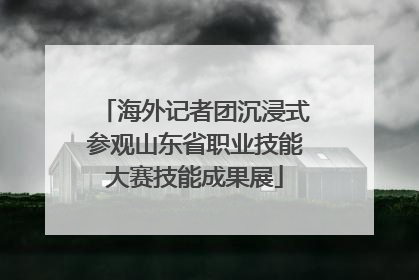 海外记者团沉浸式参观山东省职业技能大赛技能成果展