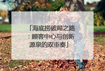 海底捞破局之路：顾客中心与创新源泉的双重奏