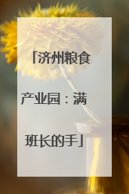 济州粮食产业园：满班长的手