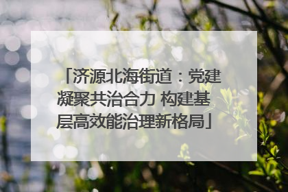 济源北海街道：党建凝聚共治合力 构建基层高效能治理新格局