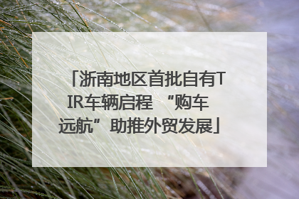 浙南地区首批自有TIR车辆启程 “购车远航”助推外贸发展