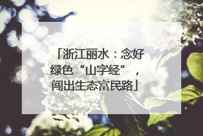 浙江丽水：念好绿色“山字经”，闯出生态富民路