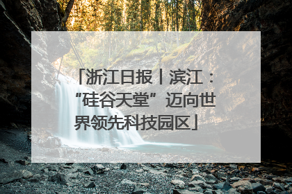 浙江日报丨滨江：“硅谷天堂”迈向世界领先科技园区