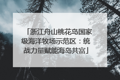 浙江舟山桃花岛国家级海洋牧场示范区：统战力量赋能海岛共富