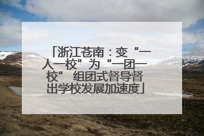 浙江苍南：变“一人一校”为“一团一校” 组团式督导督出学校发展加速度