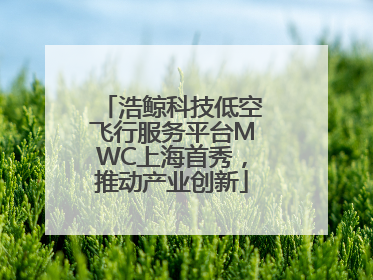 浩鲸科技低空飞行服务平台MWC上海首秀，推动产业创新