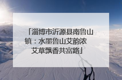 淄博市沂源县南鲁山镇：水墨鲁山艾韵浓 艾草飘香共富路