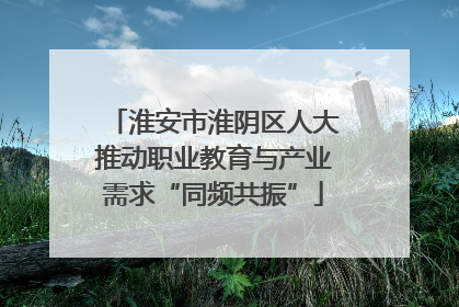 淮安市淮阴区人大推动职业教育与产业需求“同频共振”