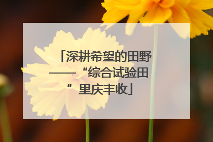 深耕希望的田野——“综合试验田”里庆丰收