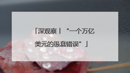 深观察丨“一个万亿美元的愚蠢错误”