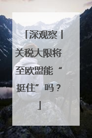 深观察丨关税大限将至欧盟能“挺住”吗？