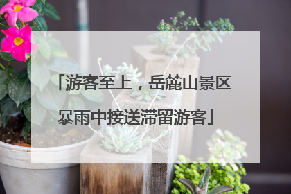 游客至上，岳麓山景区暴雨中接送滞留游客