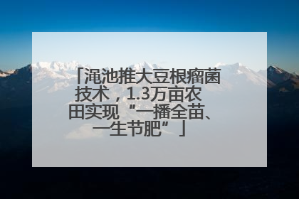 渑池推大豆根瘤菌技术，1.3万亩农田实现“一播全苗、一生节肥”